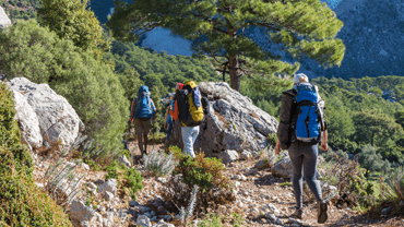 People hiking on a group tour