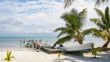 Beach scene with palm trees